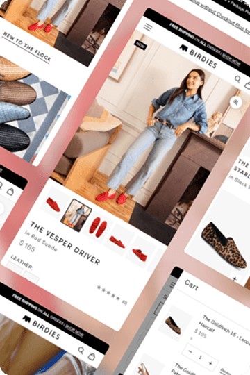 Birdies project thumbnail